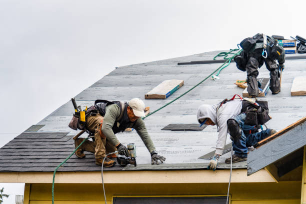 Professional Storm Damage Roof Repair technician working in Richland, MO